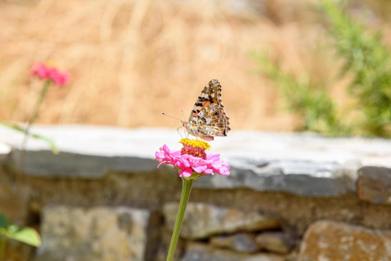 Villa Andromeda Amorgos Bagian luar foto